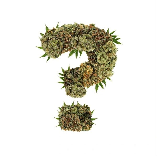 Mystery STRNG Seeds