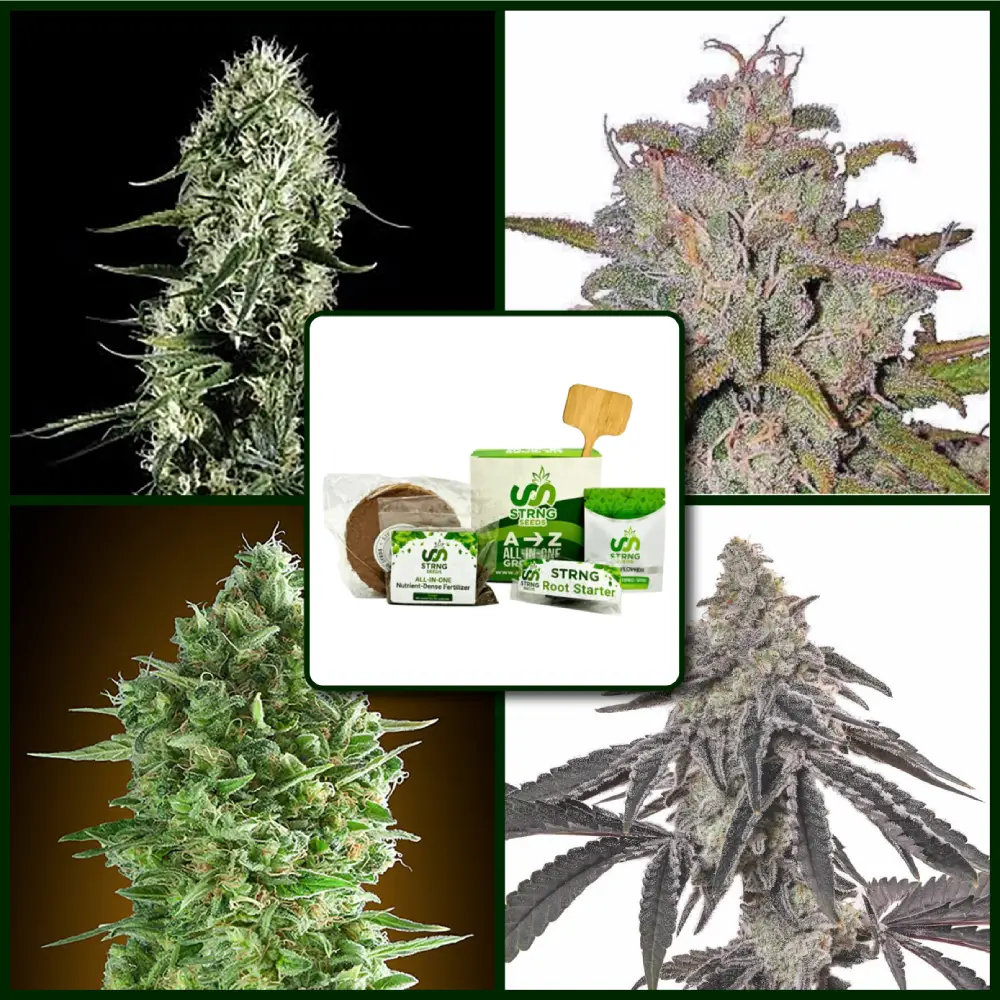 Award Winning Strains Kit Bundle