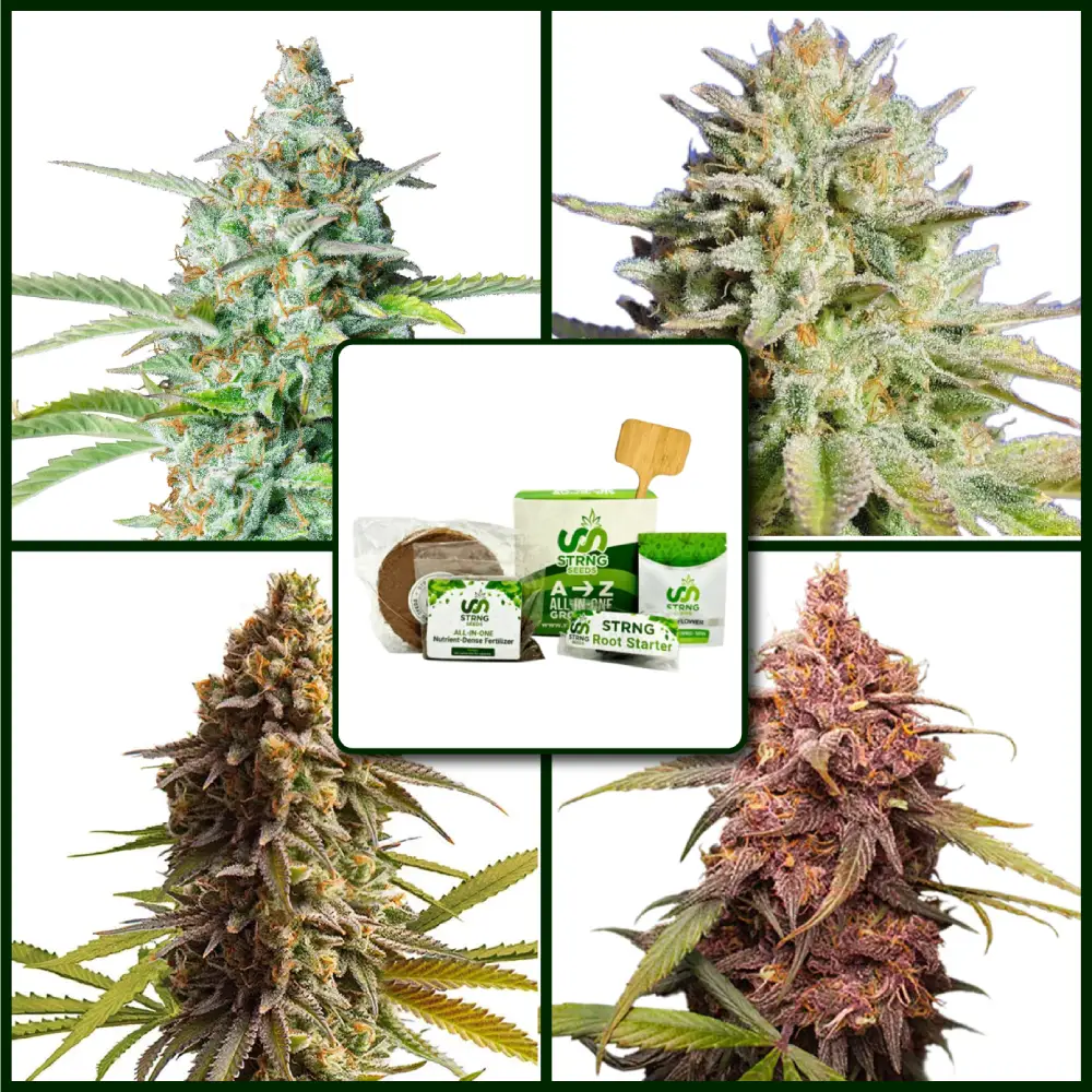 Indica Strains Kit Bundle