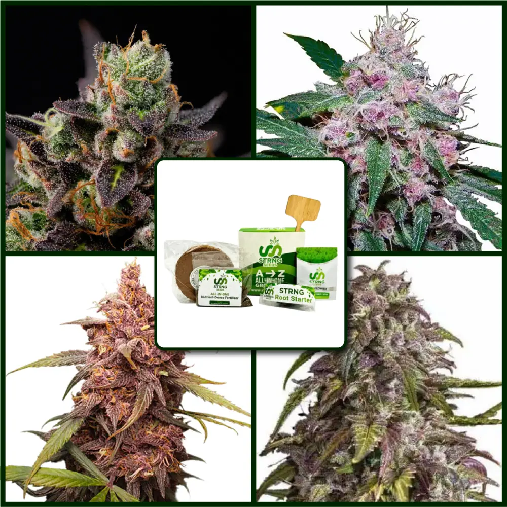 Purple Strains Kit Bundle