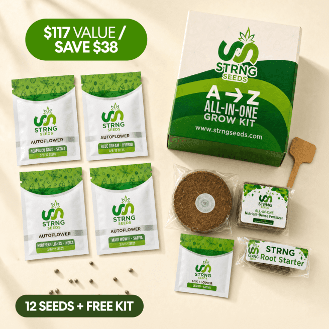 Beginner Mix Pack — 12 seeds across 4 autoflower strains, plus free Premium Grow Kit