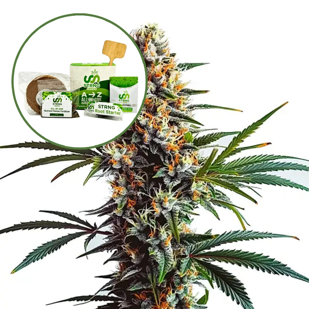 Doug’s Varin Strain Grow Kit