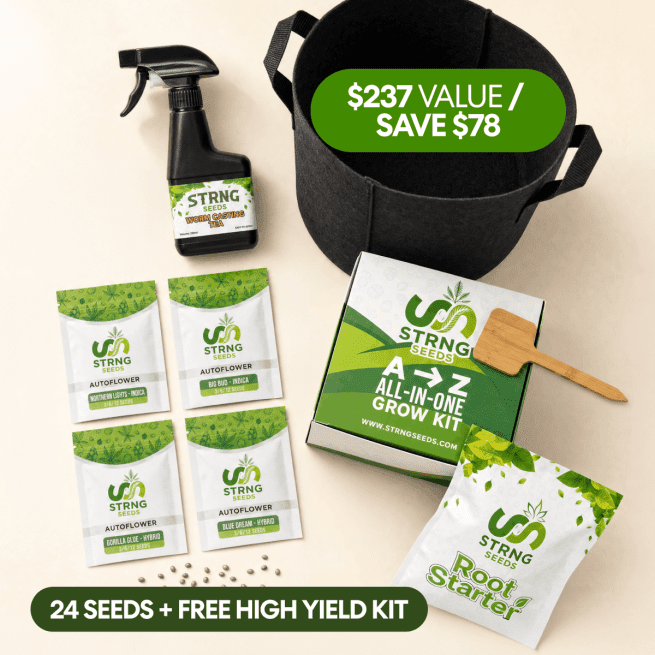 High Yield Grow Pack — 24 seeds across 4 high-yield strains, plus free Premium High Yield Grow Kit