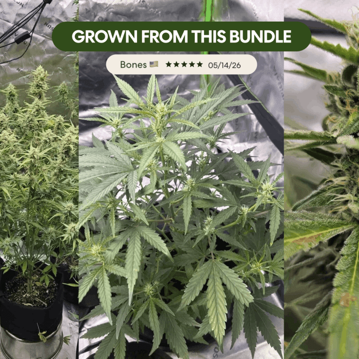 High Yield Grow Pack - Image 3