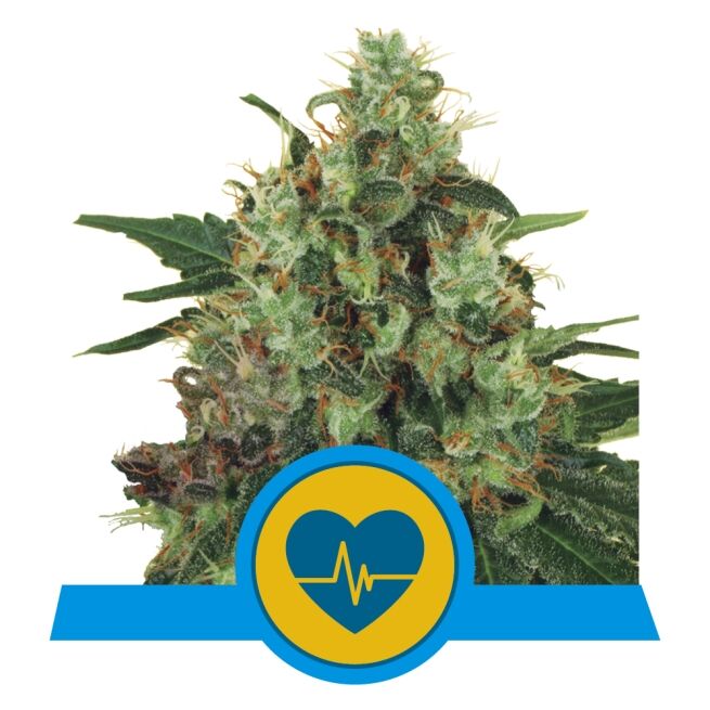Medical Mass