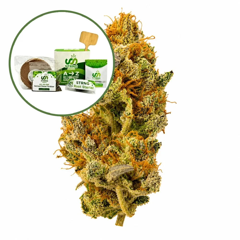 White Widow Auto Strain Grow Kit