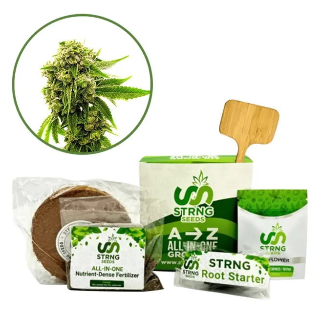 Cheese Premium Grow Kit