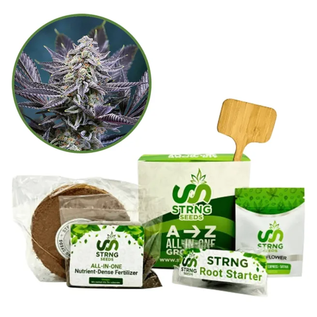 Deep Purple Premium Grow Kit