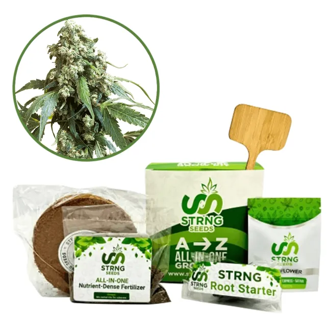 Jack Flash Premium Grow Kit