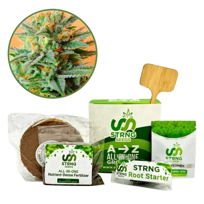 Papaya Kush Premium Grow Kit