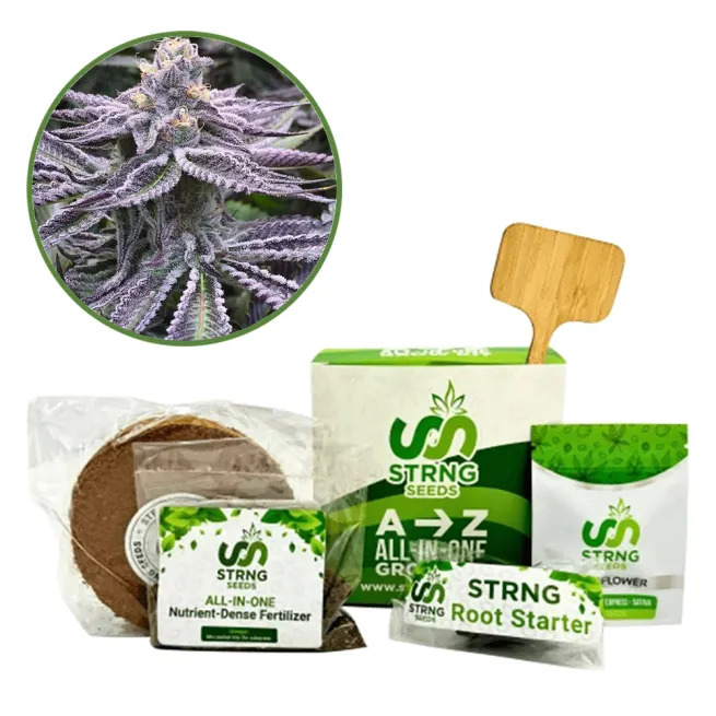 Purple Punch Premium Grow Kit