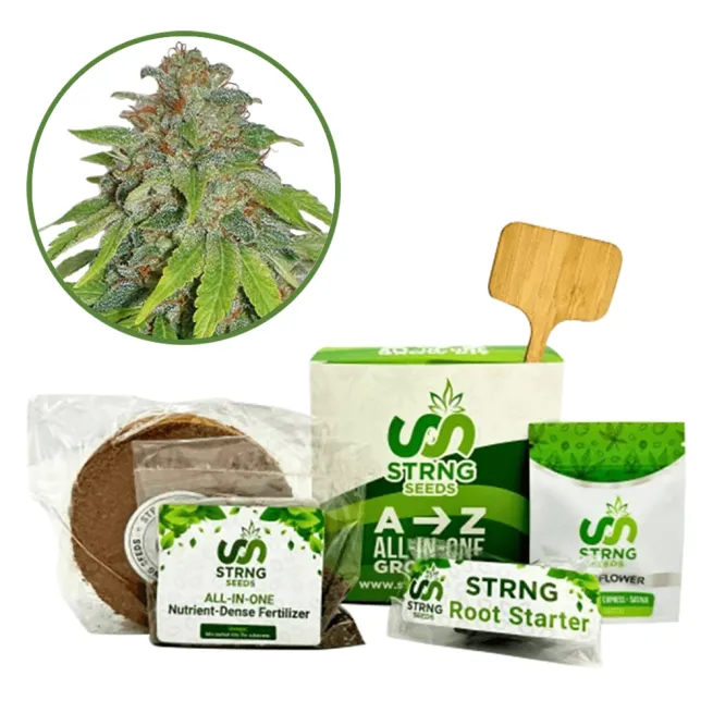 THCA Apple Jack Premium Grow Kit