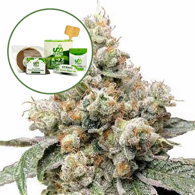 Alien OG Strain Grow Kit