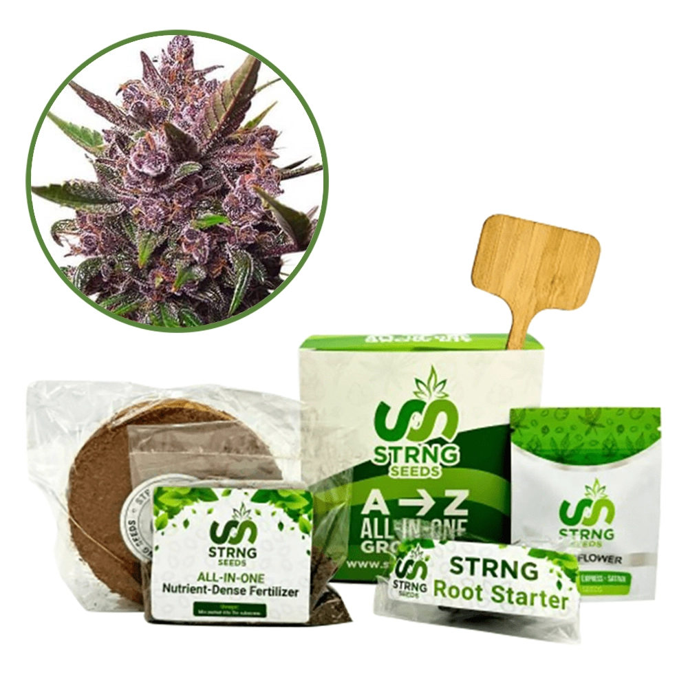 Blackberry Kush Premium Grow Kit