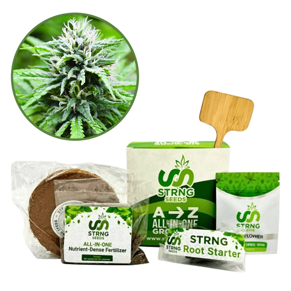 Candyland Premium Grow Kit