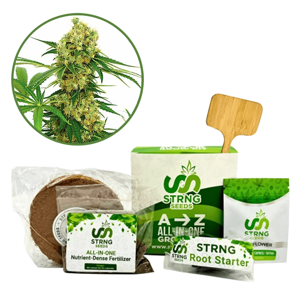 Chocolope Premium Grow Kit