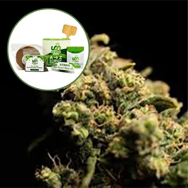 Pura Vida Strain Grow Kit