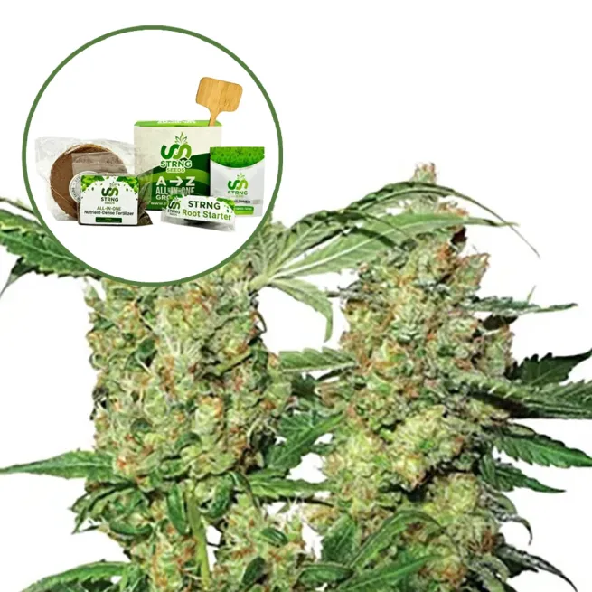 Pure Power OG Strain Grow Kit