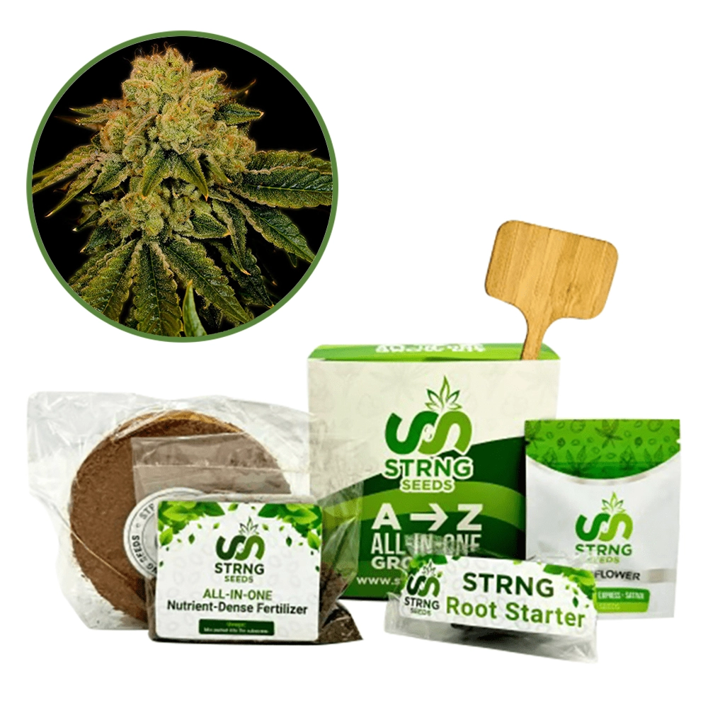 Space Cake Premium Grow Kit