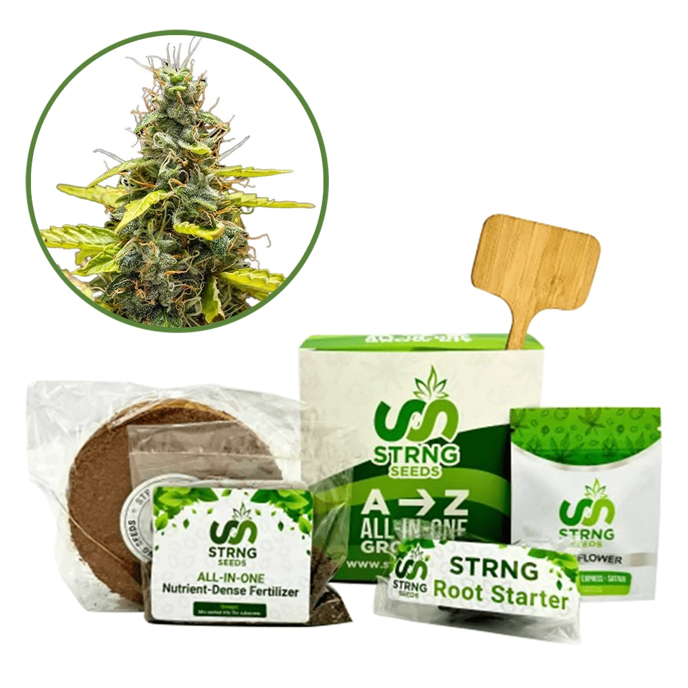 THCA Runtz Premium Grow Kit