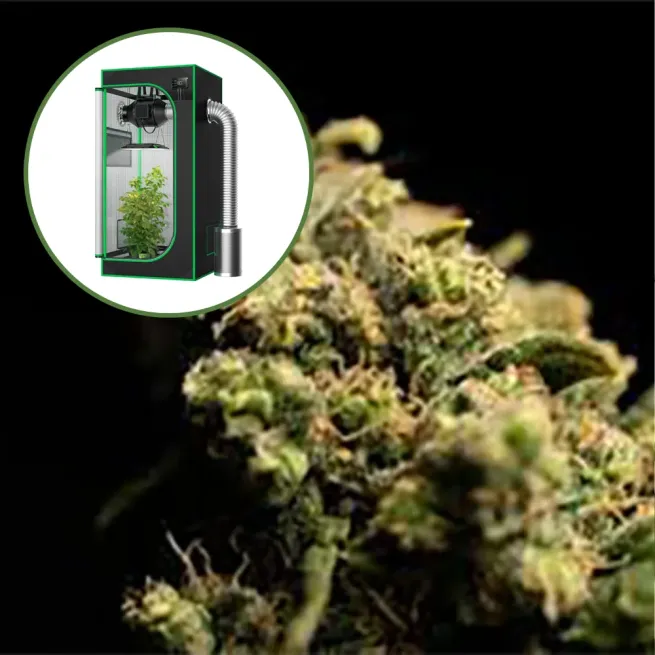 Pura Vida Auto Platinum Indoor Grow Bundle
